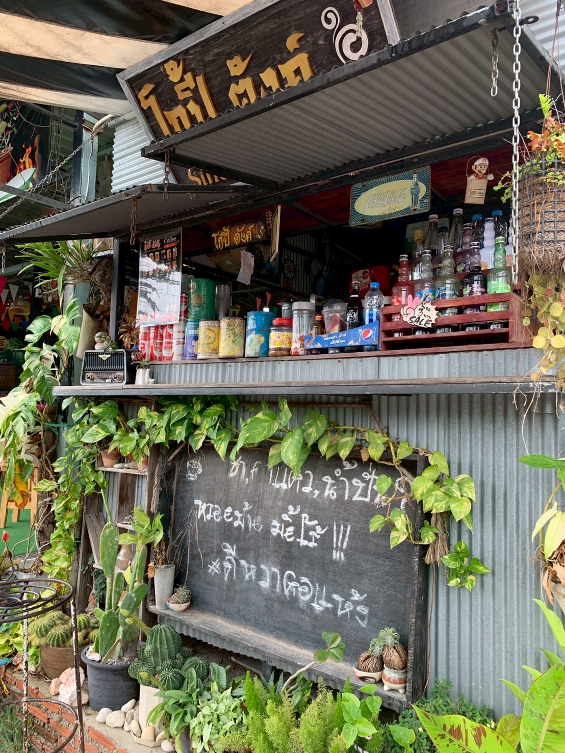 โกปี้ ตังค์